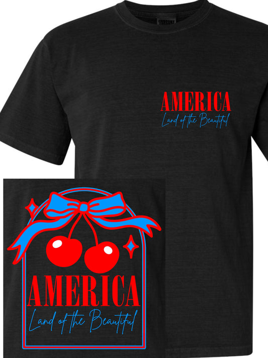 America Land of the Beautiful PNG FILE