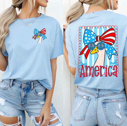 America PNG FILE